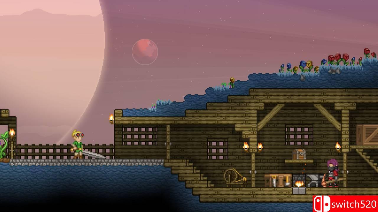 《星界边境（Starbound）》正式版 v1.1.1 3DM免安装未加密版[EN]_4