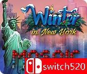 《纽约马赛克冬季版（Winter in New York）》RAZOR硬盘版[EN]_0