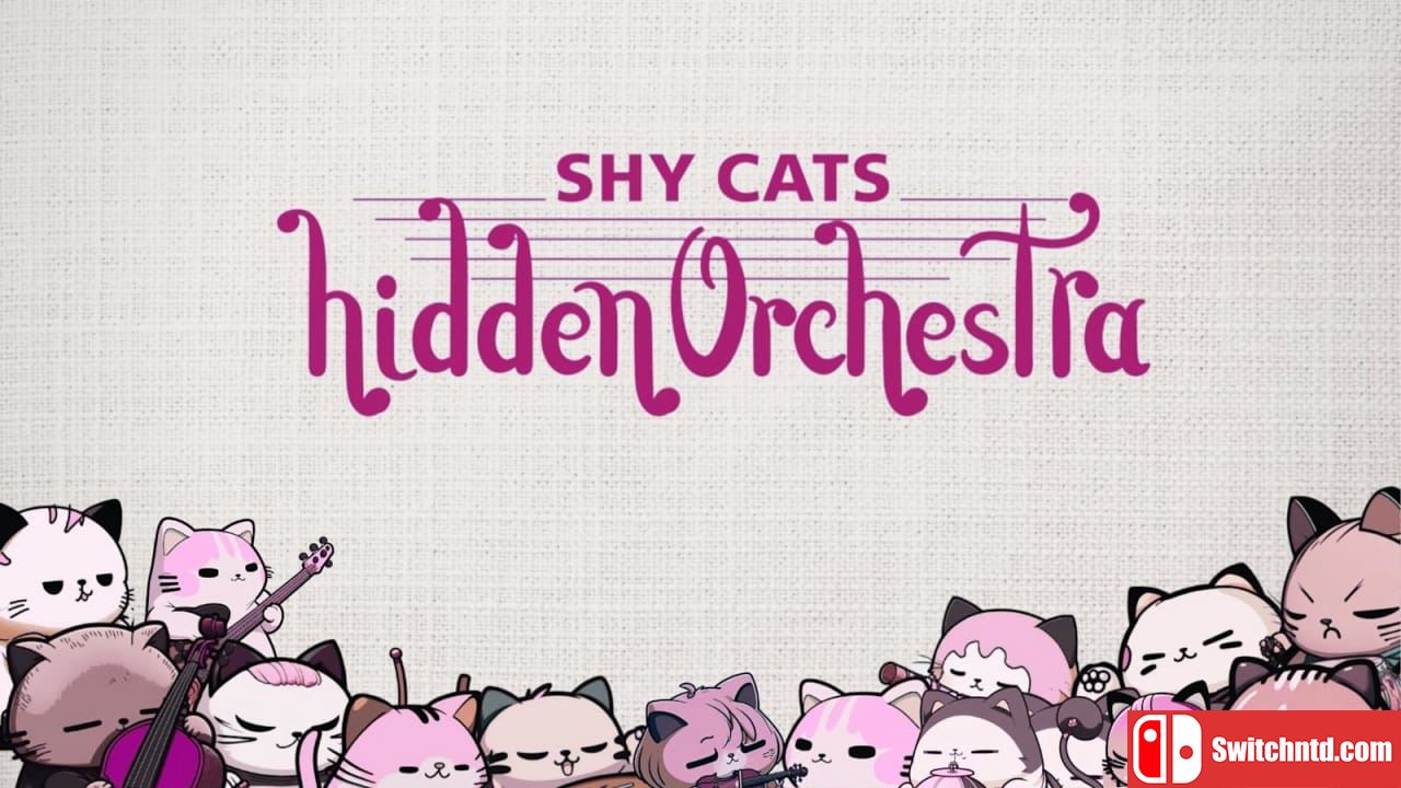 害羞猫隐藏乐团丨Shy Cats Hidden Orchestra_0