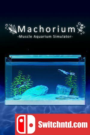 《壮士水族馆 -肌肉水族馆模拟器-（Muscle Aquarium Simulator）》TENOKE镜像版[CN/TW/EN/JP]