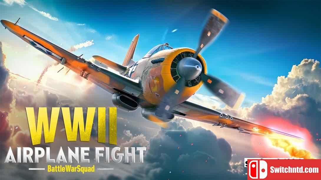 【美版】二战飞机战斗-作战中队 .WWII AIRPLANE FIGHT - Battle War Squad 英语_0