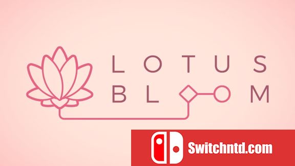 莲花绽放 Lotus Bloom_0