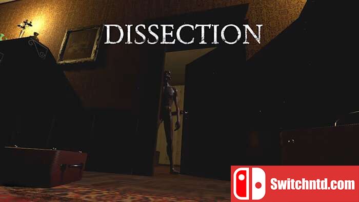 解剖丨Dissection_0