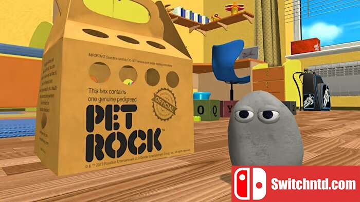 宠物石丨Pet Rock_0