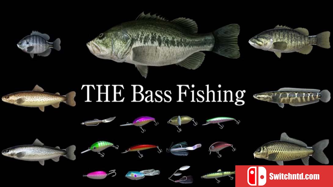 【美版】路亚钓鲈 THE Bass Fishing 英语_0