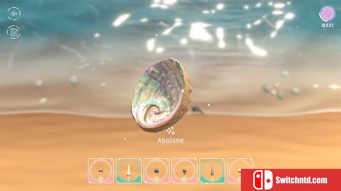 【美版】贝壳 Seashell 中文_2