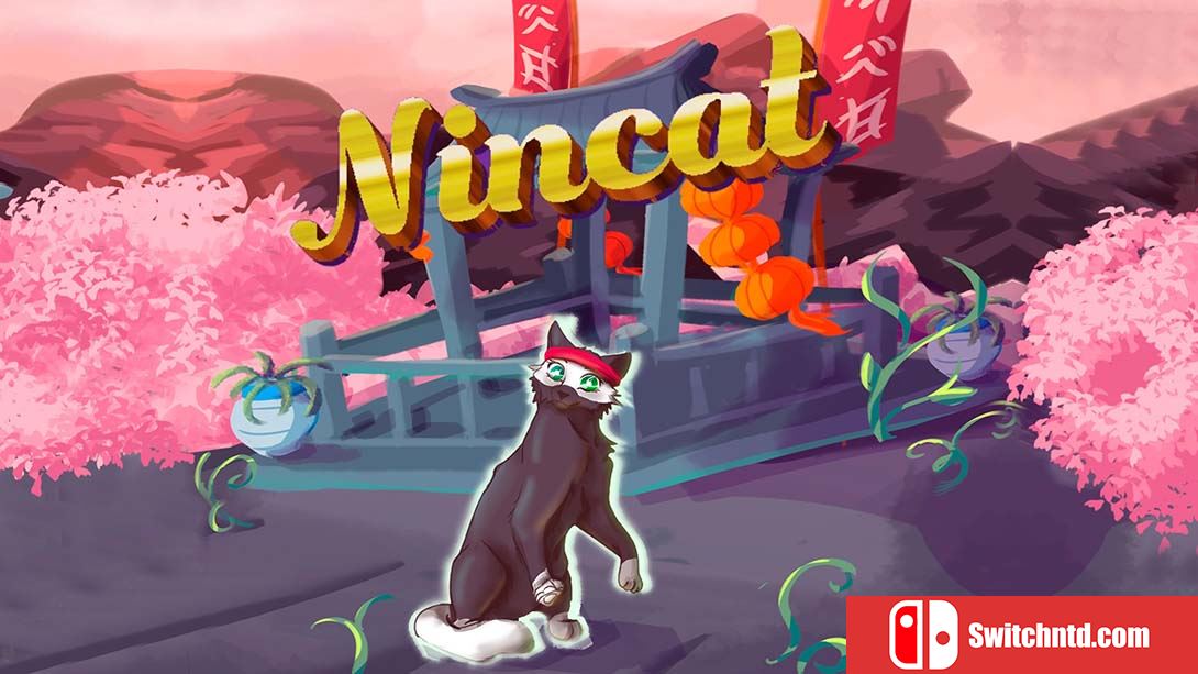 【美版】猫九 NinCat 英语_0