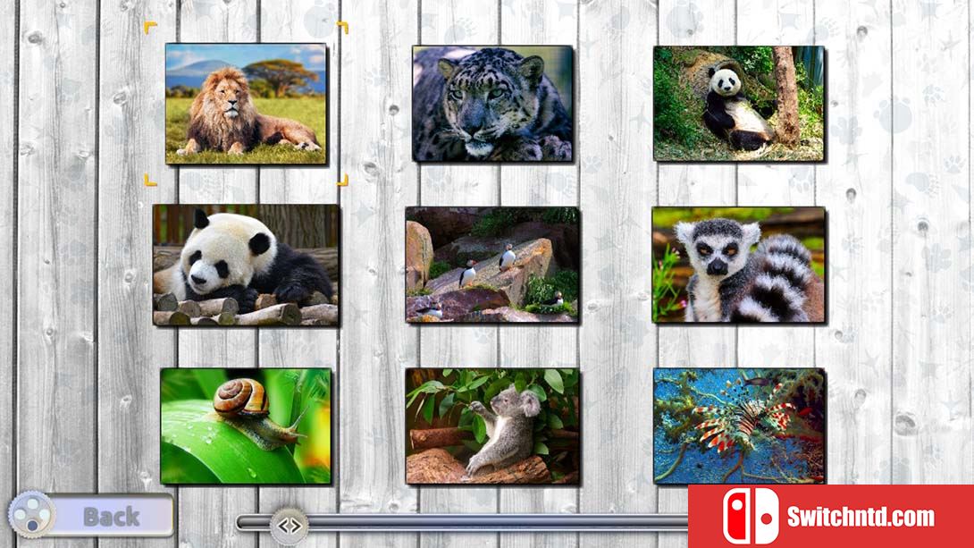 【美版】快乐拼图：迷人的动物 Jigsaw Fun: Amazing Animals 中文_6