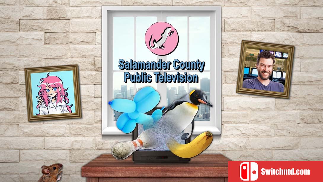 【美版】Salamander County Public Television 英语_0