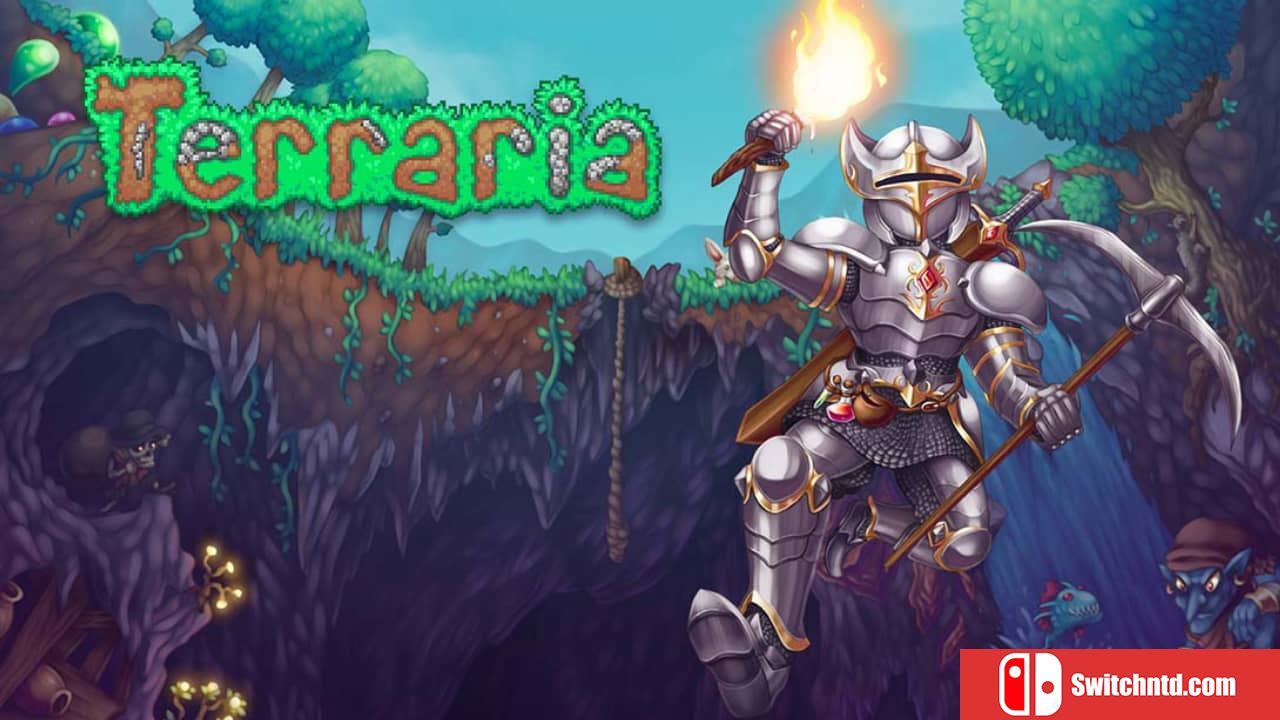 泰拉瑞亚丨Terraria_0