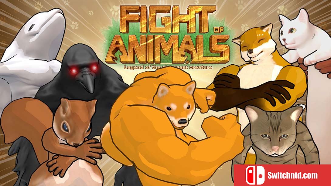 动物之斗 Fight of Animals 中文_0