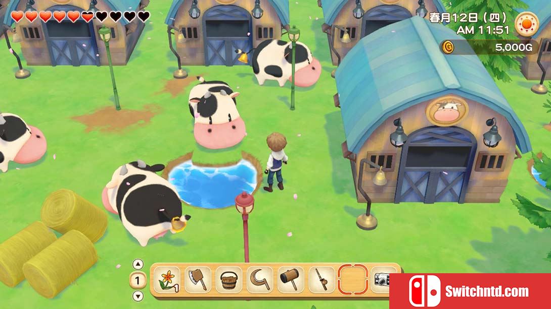 牧场物语：橄榄镇与希望的大地 STORY OF SEASONS: Pioneers of Oliv... 中文_5