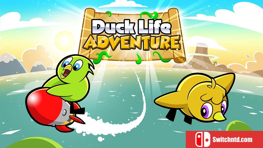 鸭子生活：战斗 Duck Life: Battle 英语_0