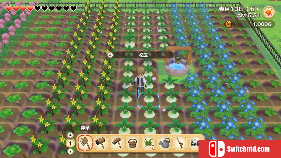 牧场物语：橄榄镇与希望的大地 STORY OF SEASONS: Pioneers of Oliv... 中文_4