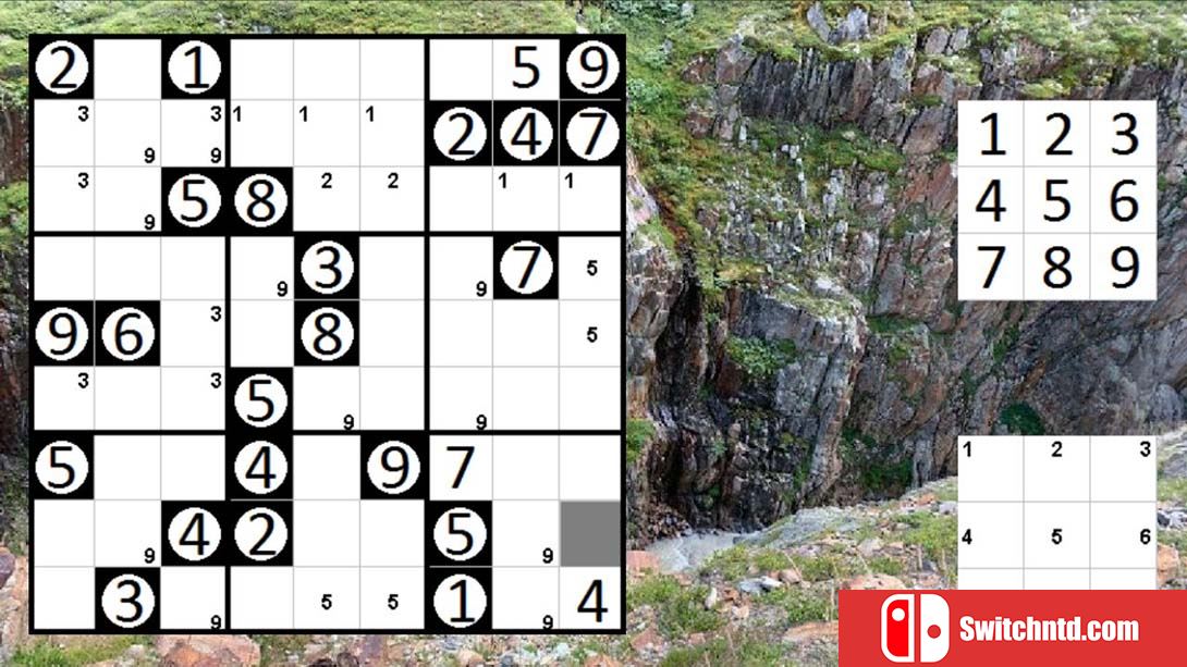 Logic Puzzle Collection: Sudoku - Permudoku - Nonodoku 英语_2