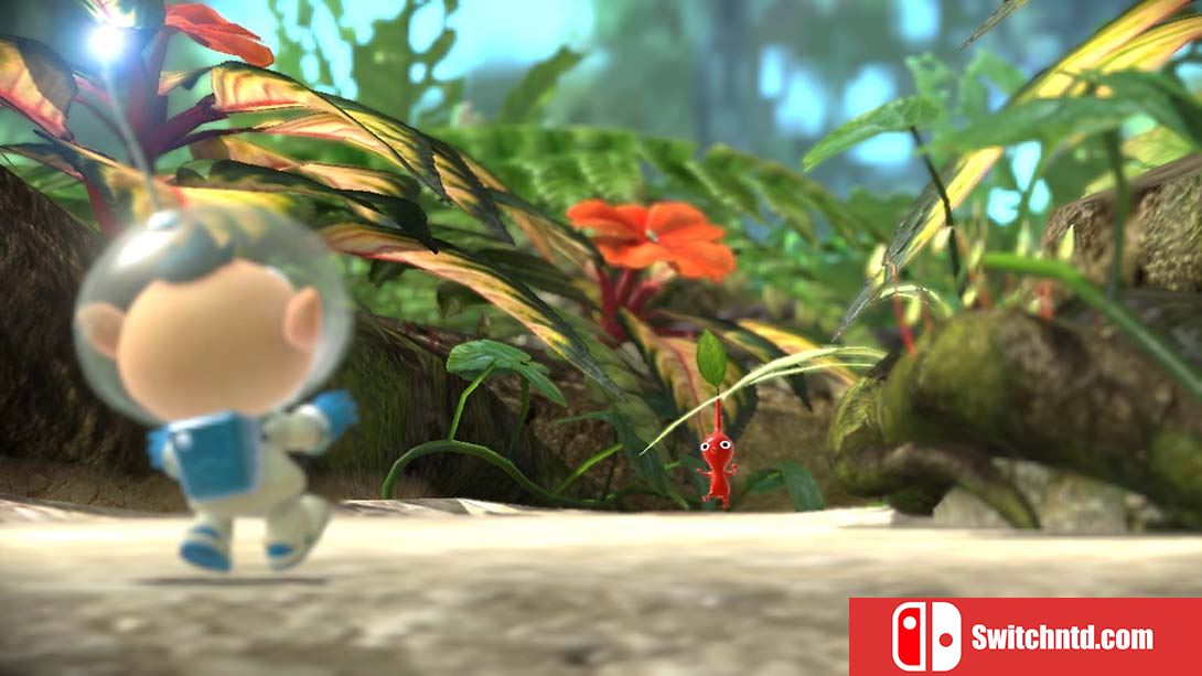 皮克敏3：豪华版 Pikmin 3 Deluxe 中文_6