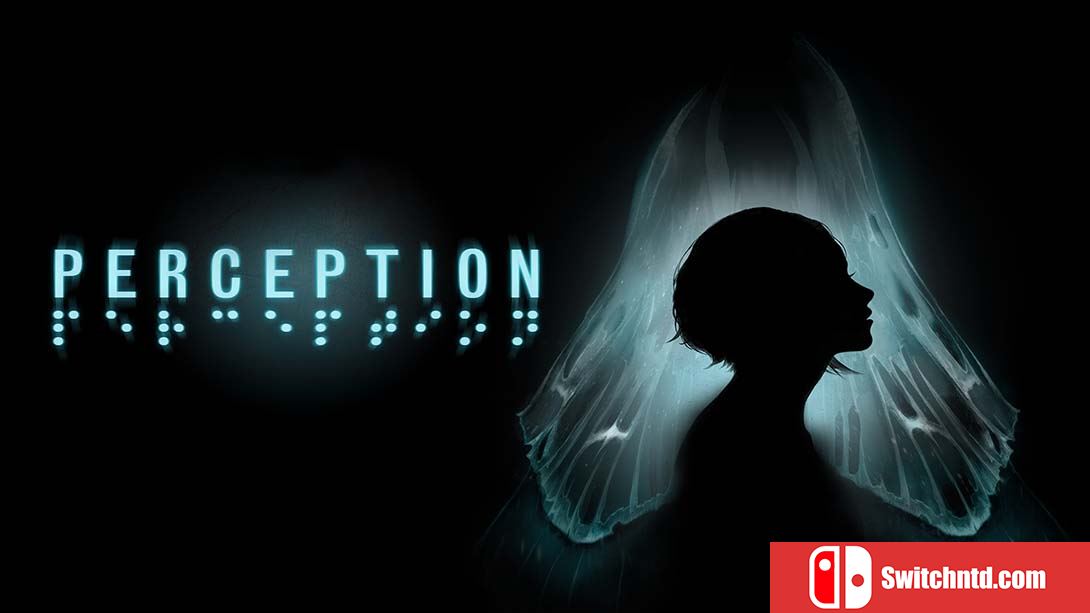 知觉 Perception 中文_0