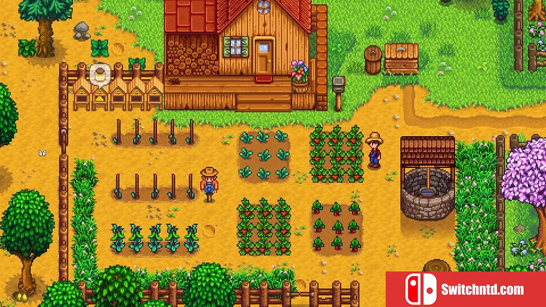 星露谷物语 Stardew Valley 中文_6