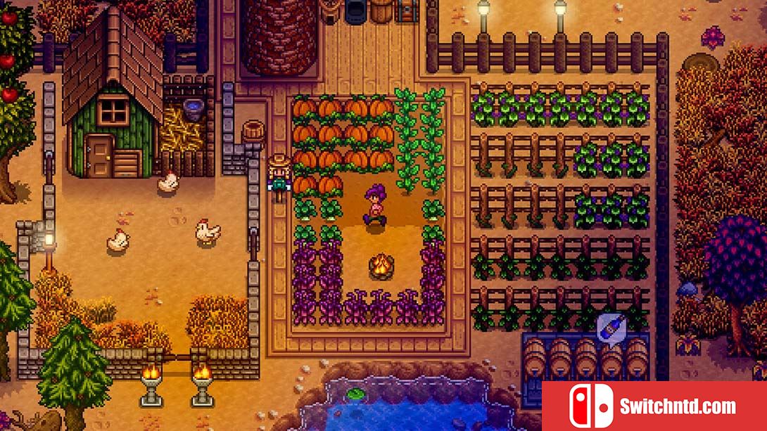 星露谷物语 Stardew Valley 中文_1