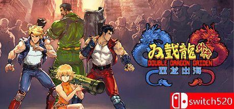 《双截龙外传：龙之崛起（Double Dragon Gaiden: Rise Of Dragons）》P2P硬盘版[CN/TW/EN]