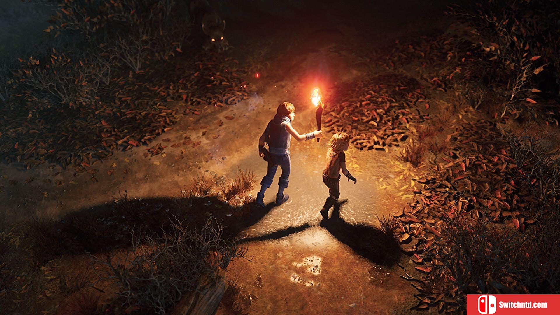 《兄弟：双子传说重制版（Brothers: A Tale of Two Sons Remake）》 FLT镜像版[CN/TW/EN/JP]_1