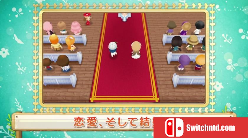 牧场物语：重聚矿石镇 Story of Seasons: Reunion in Mineral Town_2