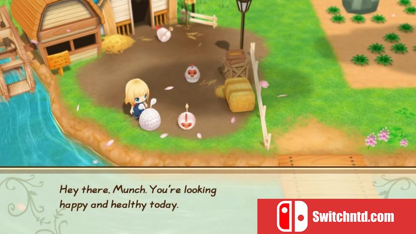 牧场物语：重聚矿石镇 Story of Seasons: Reunion in Mineral Town_5