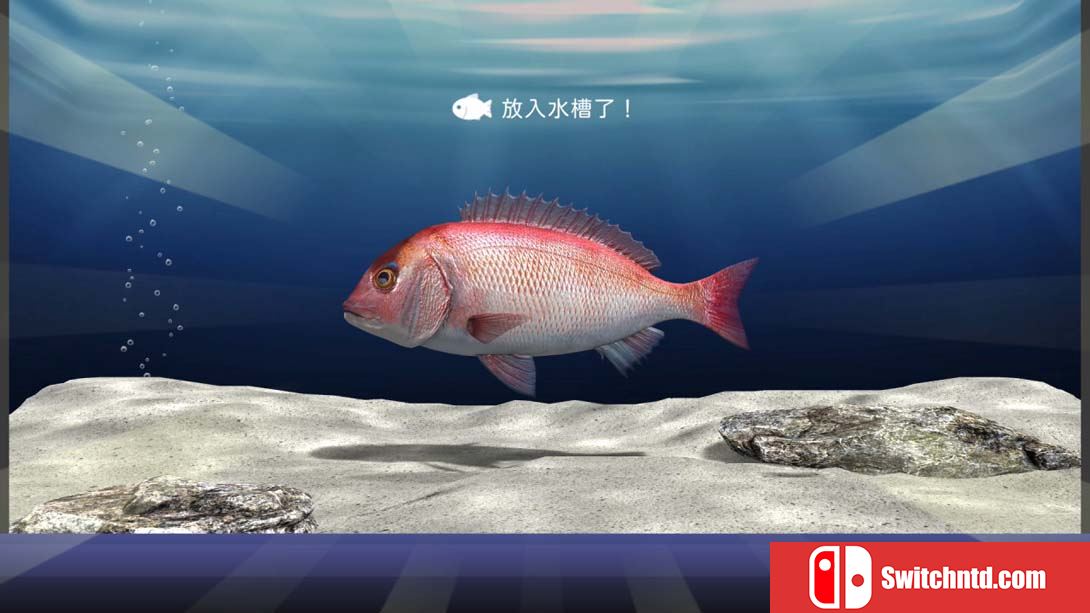 【港版】户外钓鱼 夏日时光 .Reel Fishing Days of Summer 中文_4