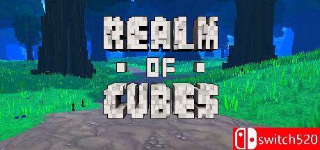 《方块王国（Realm of Cubes）》DARKSiDERS镜像版[EN]