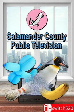 《蝾螈县公共电视台（Salamander County Public Television）》B.10625898 P2P硬盘版[EN]